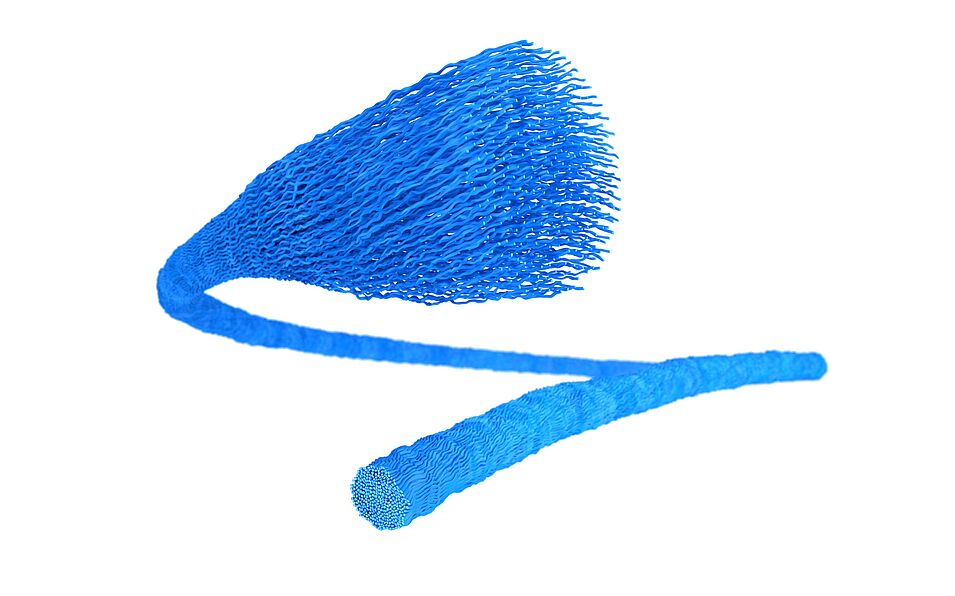 Microfilament, texturised (schematic representation) 2